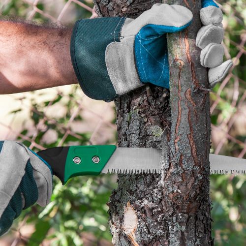 Tree Pruning in Richardson TX