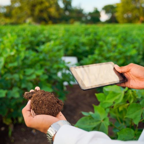 Soil Testing & Evaluation Services in Richardson TX