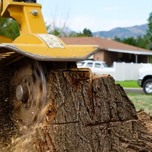 Stump Removal in Richardson TX